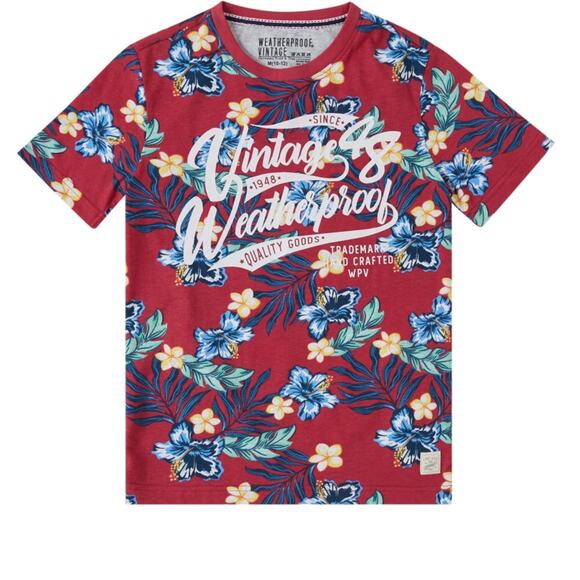 Copied -  Big Boys Weatherproof Short Sleeve Graphic T-shirt Large (14-!6)  NWT - Picture 1 of 2
